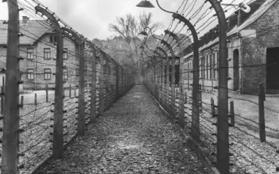 Neuerscheinung: Coincidentia 17 – „Ns-ermordete Philosophen“